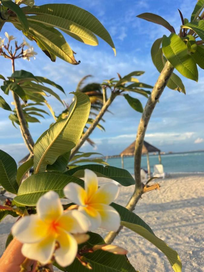 Wind Breeze Sunset View Inn Guraidhoo  Dış mekan fotoğraf